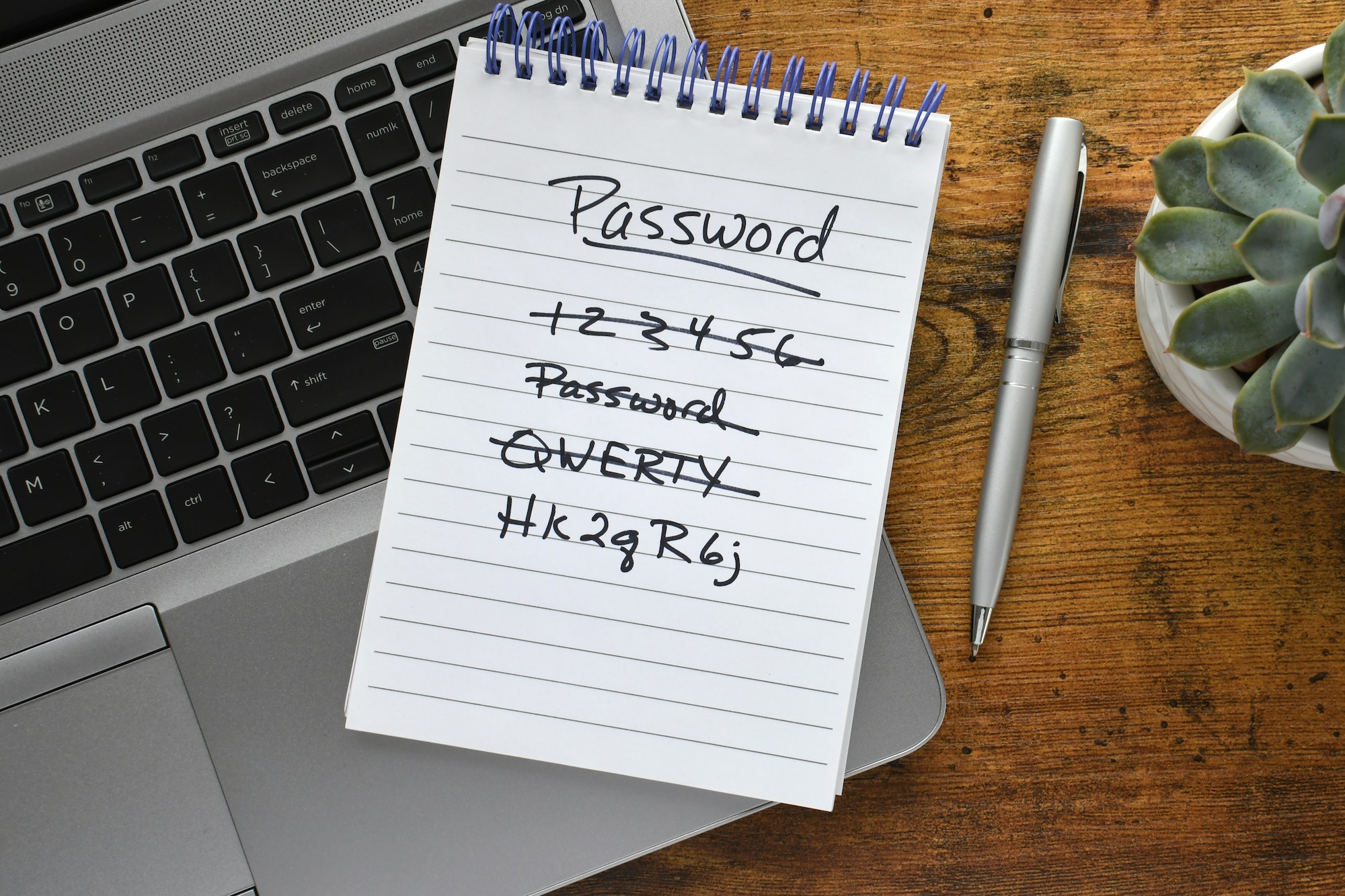 Read more about the article How to Reset Your Enclave Hosting Password